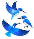Stylized Birds - Cerulean Kingfisher Royalty Free Stock Photo