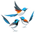 Stylized Birds - Fairywrens