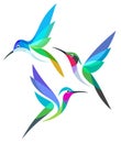 Stylized Birds in flight Royalty Free Stock Photo