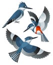 Stylized Birds - Kingfisher Royalty Free Stock Photo