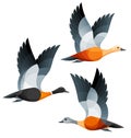 Stylized Birds - Shelducks in flight Royalty Free Stock Photo