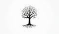 Stylized black bare tree with visible roots and branches against white background. Simple line art for logo, emblem or concept of Royalty Free Stock Photo