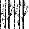 Stylized black birch Royalty Free Stock Photo