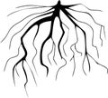 Stylized black silhouette of fibrous root system