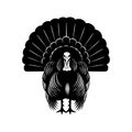 Stylized Black Turkey Illustration with Fanned Tail Royalty Free Stock Photo