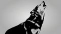 Stylized black and white illustration of a howling wolf Canis lupus Royalty Free Stock Photo