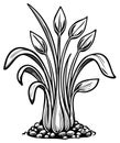 Stylized black and white plant illustration with leaves and buds growing from pebbles Royalty Free Stock Photo