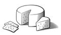 Stylized black and white vector illustration of cheese