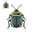 Stylized Blue and Yellow Beetle Illustration Royalty Free Stock Photo