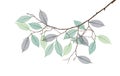 Stylized branch with skeleton of leaves