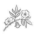 Stylized branch of wild rose. Floral ornament