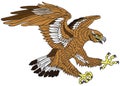 Stylized brown eagle. Tattoo. Vector illustration Royalty Free Stock Photo