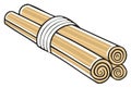 Stylized Bundle of Scrolls tied with White String Illustration Royalty Free Stock Photo