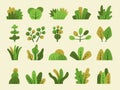 Stylized bushes. Green grass leaves and bushes collection for gardenning backgrounds recent vector flat templates set Royalty Free Stock Photo