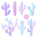 Stylized cactus collection. Vector illustration.