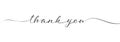 Stylized calligraphic inscription thank you in one line