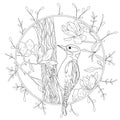 Stylized cartoon woodpecker on tree branch. Hand drawn sketch for adult antistress coloring page