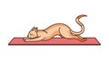 Stylized Cat Stretching Illustration, vector design Generative AI Royalty Free Stock Photo