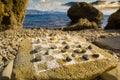 Stylized chess board drawed on a stone near a sea coast at the evening