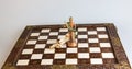 Stylized chess. Chessboard with white and black kings