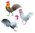 Stylized Chickens - Roosters