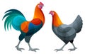 Stylized Chickens - vector illustration Royalty Free Stock Photo