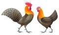 Stylized Chickens - vector illustration Royalty Free Stock Photo