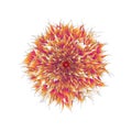 Stylized chrysanthemum flower on white background. Zen concept. Vector illustration