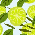 Stylized citrus slices in flat style Royalty Free Stock Photo