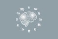 Stylized clockface with essential vitamins and microelements for human health, hand drawn human Brain, grey background.