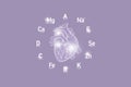 Stylized clockface with essential vitamins and microelements for human health, hand drawn human Heart, lilac background.