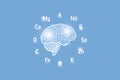 Stylized clockface with essential vitamins and microelements for human health, hand drawn human Brain, light blue background.