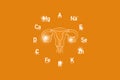 Stylized clockface with essential vitamins and microelements for human health, hand drawn human Uterus, orange background.