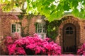 Stylized close up of charming cottage in springtime with azaleas and arched door surrounded by vines and new green leaves framing Royalty Free Stock Photo