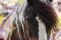 A Painted Pony Royalty Free Stock Photo