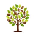 Stylized coffee bean tree with green leaves on a white background Royalty Free Stock Photo