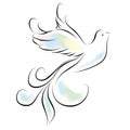 Stylized color bird with big feathers on a white background