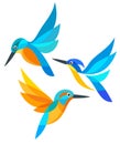 Stylized Birds in flight Royalty Free Stock Photo