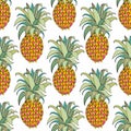 Stylized colorful pineapple. Vector seamless pattern Royalty Free Stock Photo