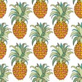 Stylized colorful pineapple. Vector seamless pattern