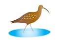 Stylized Curlew