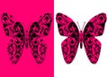 Stylized damask butterfly Royalty Free Stock Photo