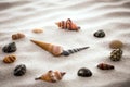 Stylized dial clock for shells on the sand for concentration and relaxation for harmony and balance in pure simplicity