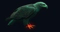 Majestic Eagle in Low-Poly Art Style: A Digital Depiction of Avian Majesty with Glowing Emerald and Red Accents Royalty Free Stock Photo