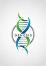 A stylized DNA double helix is depicted in green and blue, forming Royalty Free Stock Photo