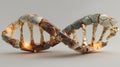 A stylized DNA double helix sculpture composed of segmented pieces with a marbled appearance Royalty Free Stock Photo