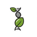 A stylized DNA helix is intertwined with two green leaves. The DNA structure is black Royalty Free Stock Photo