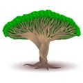 Stylized Dragon Blood Tree