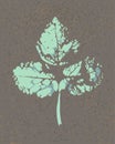 Stylized drawing of a light green leaf