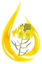 Stylized drop of oil and mustard flower.